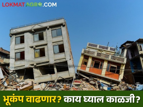 Chances of more major earthquakes in Maharashtra, what do experts say? | महाराष्ट्रात आणखी मोठ्या भूकंपाच्या धक्क्यांची शक्यता, काय सांगताहेत तज्ञ?