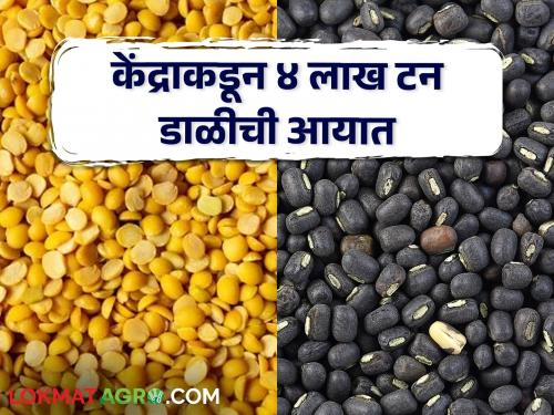 central government Pulses Import of 4 lakh tonn tur moong kharip crop rabi frp farmer cultivatin sowing | Pulses Import : केंद्राकडून ४ लाख टन डाळीची आयात; मागच्या वर्षीच्या तुलनेत २० टक्क्यांनी वाढ