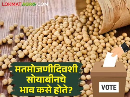 Soybean Market: Less than guaranteed price per quintal except for the market committee on loksabha counting day! | Soybean Market: मतमोजणीदिवशी ही बाजारसमिती वगळता सोयाबीला क्विंटलमागे हमीभावाहून कमीच!