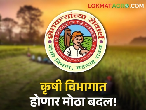 Four new directors to come in the Department of Agriculture! Who needs the character? | कृषी विभागात होणार मोठा बदल! यंदा चार संचालक होणार निवृत्त; कुणाची लागणार वर्णी?