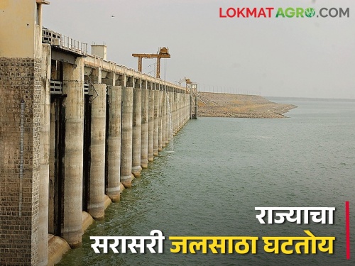 Average live water storage in Maharashtra is 31.80 percent, according to Water Resources Department | राज्यात सरासरी ३१.८० टक्के जिवंत पाणीसाठा, जलसंपदा विभागाची माहिती