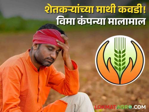 Crop Insurance companies in profit of 4 thosand crore famer not get insurance amount yet PMFBY | विमा कंपन्यांवर सरकार ४ हजार कोटींने मेहेरबान! शेतकऱ्यांच्या तोंडाला पुसली पाने | Crop Insurance