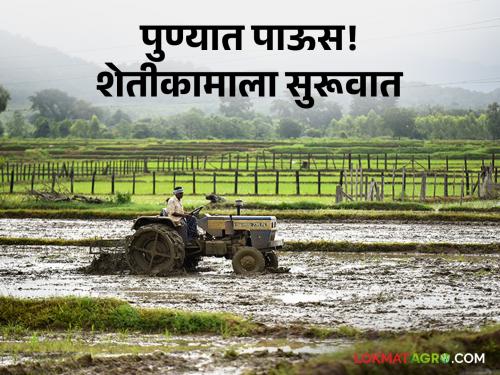 Pune Monsoon Rain: Monsoon rain has started in Pune! Acceleration of agricultural works | Pune Monsoon Rain : पुण्यात मान्सूनच्या पावसाला सुरूवात! शेतीकामांना गती