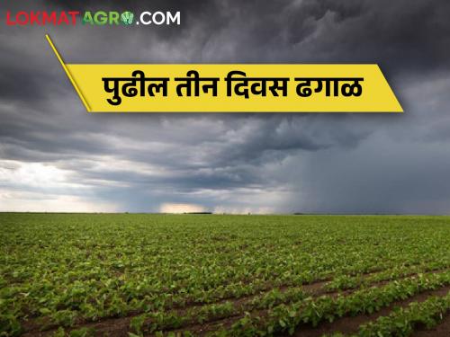 Chance of cloudy weather in Marathwada for the next three days, what should farmers do? | मराठवाड्यात पुढील तीन दिवस ढगाळ वातावरणाची शक्यता, शेतकऱ्यांनी काय करावे?