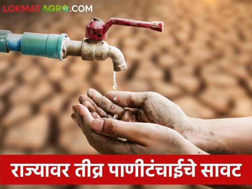 Water scarcity: The water scarcity in the state is getting darker, the water reserve is so much.. | Water scarcity: राज्यावर पाणीटंचाईचे सावट अधिक गडद, पाणीसाठा राहिला एवढा..