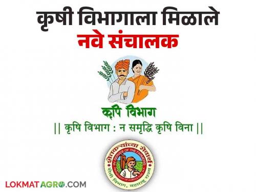 Agriculture Department new director of agriculture Appointment of Sunil Borkar as Director of Quality Control | Agriculture Department : राज्याला मिळाले नवे कृषी संचालक! गुणनियंत्रण संचालकपदी सुनिल बोरकर यांची नियुक्ती