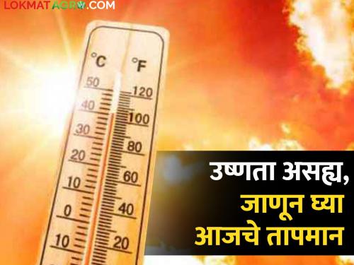 Temperature today: The heat is killing the people, the heat is bothering the citizens, how will the temperature be today? | Temperature today: उकाड्याने कासाविस, झळांनी नागरिक बेजार,आज कसा राहणार तापमानाचा पारा?