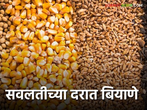 seeds at discounted prices; Do you know the plan? | सवलतीच्या दरात बियाणे; तुम्हाला योजना माहितीय का ?