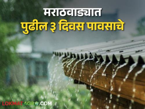 Rain in Marathwada for the next three days, chances of rain with lightning in these districts | पुढील तीन दिवस मराठवाड्यात पावसाचे, या जिल्ह्यांमध्ये विजांच्या कडकडाटासह पावसाची शक्यता