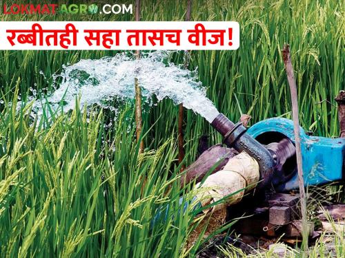 Sir! Only six hours of electricity even in Rabi; How to water crops? | साहेब ! रब्बीतही सहा तासच वीज; पिकांना पाणी देणार तरी कसे?