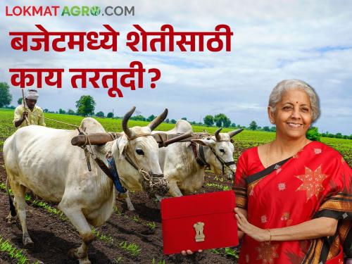 What are the provisions in this year's budget for farmers? | Budget 2024: शेतकऱ्यांसाठी यंदाच्या बजेटमध्ये काय तरतूदी?