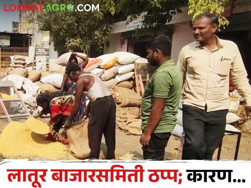 Buying and selling in Latur market committee stopped for four days, what is the exact reason? | लातूर बाजारसमितीतील खरेदी विक्री चार दिवसांपासून ठप्प, नेमके कारण काय?