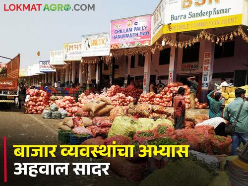 market yard and trading culture study report submitted to state government umakant dangat committee | कृषि उत्पन्न बाजार समित्या व पर्यायी बाजार व्यवस्थांचा अभ्यास अहवाल शासनास सादर