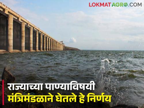 This important discussion in the cabinet meeting on water issue in the state, what for the farmers? | राज्यातील पाणीप्रश्नावर मंत्रिमंडळ बैठकीत ही महत्वाची चर्चा, शेतकऱ्यांसाठी काय?