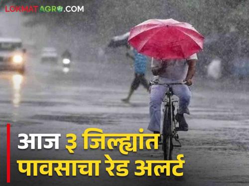 Maharashtra Rain Updates Rain will fall in the state today What are the weather department warnings | Maharasshtra Rain Updates : राज्यात आज धोधो कोसळणार पाऊस! काय आहेत हवामान विभागाचे इशारे?