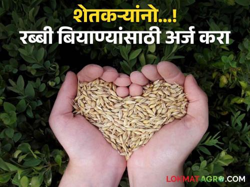 Rabi Season Application for seeds subsidy and distribution can be made during Rabi season | Rabi Season : रब्बी हंगामात बियाण्यांसाठी करता येणार अर्ज; 'ही' आहे शेवटची तारीख