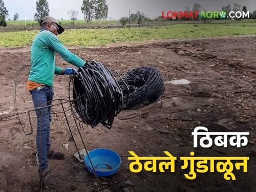 This year, the farmers also kept drip irrigation wrapped? | यंदा शेतकऱ्यांनी ठिंबक सिंचनही ठेवले गुंडाळून?