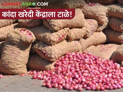 Farmers' back to onion buying centers! Shopping centers are closed. | कांदा खरेदी केंद्रांकडे शेतकऱ्यांचीच पाठ! खरेदी केंद्रांना लागले टाळे..