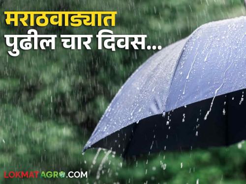 Marathwada Rain: Chance of rain with lightning in these districts of Marathwada for the next four days | Marathwada Rain: पुढील चार दिवसांकरता मराठवाड्याच्या या जिल्ह्यांना विजांच्या कडकडाटासह पावसाची शक्यता