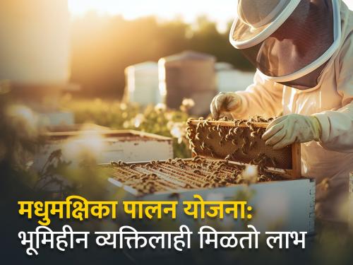 Government gives financial assistance up to 40 thousand for beekeeping, what is the process? | मधुमक्षिका पालन करण्यास सरकार देते ४० हजारांपर्यंत अर्थसहाय्य, काय आहे प्रक्रिया ?