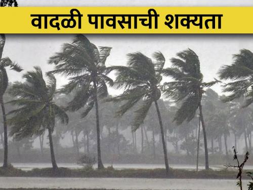 Rain alert for 22 districts including Pune today, in next 24 hours... | पुण्यासह २२ जिल्ह्यांना आज पावसाचा अलर्ट, येत्या २४ तासांत...