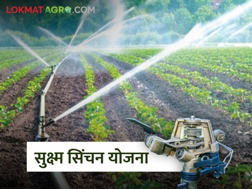 55 percent subsidy to small landholders for setting up drip-frost irrigation, what is Micro Irrigation Scheme? | ठिबक- तुषार सिंचन उभारणीसाठी अल्पभूधारकांना ५५ टक्के अनुदान, काय आहे सूक्ष्म सिंचन योजना?