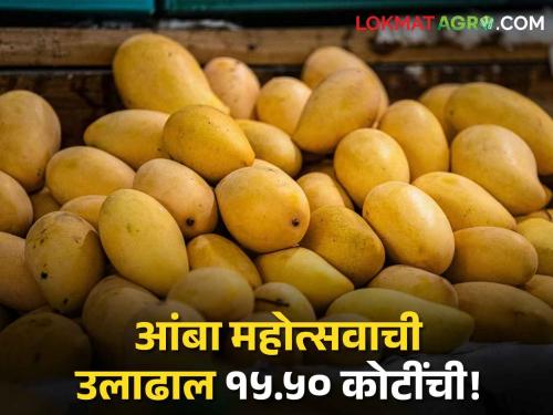 Huge response of Pune residents to the 'Mango Festival' of Krishi Panan, a turnover of 15.50 crores | कृषी पणनच्या ‘आंबा महोत्सवा’ला पुणेकरांचा प्रचंड प्रतिसाद, १५.५० कोटींची उलाढाल