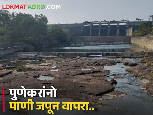 Pune people! Dam stock is decreasing rapidly, how much water in which dam? find out | पुणेकरांनो! धरणसाठा वेगाने घटतोय, कोणत्या धरणात किती पाणी? जाणून घ्या