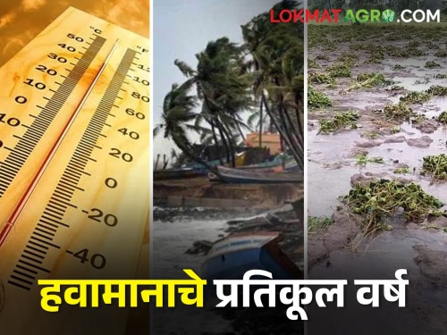 Climate change: India experiences extreme weather events on 318 days out of 365 days of the year | Climate change: वर्षातील ३६५ दिवसांपैकी ३१८ दिवसात भारताने केला तीव्र हवामानाच्या घटनांचा सामना