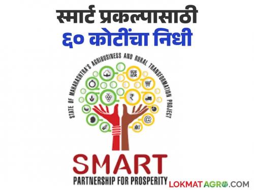 Smart Project: Government has distributed funds of 60 crores for smart project! A decision in the run-up to the election | Smart Project : स्मार्ट प्रकल्पासाठी सरकारने केला ६० कोटींची निधी वितरित! निवडणुकीच्या तोंडावर निर्णय