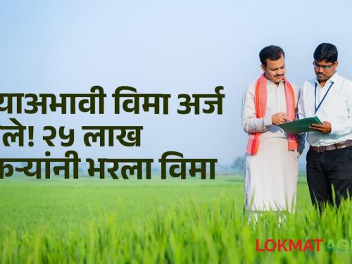 Crop Insurance maharashtra monsoon Farmers apply crop insurance How many farmers have applied | Crop Insurance : शेतकऱ्यांनो पीक विम्यासाठी अर्ज करा! आत्तापर्यंत किती शेतकऱ्यांना भरले अर्ज?