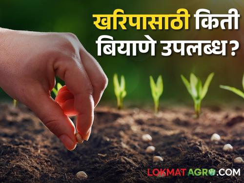 How many seeds are available in the state this year? Why will farmers run in Kharipat? | राज्यात यंदा किती बियाणे उपलब्ध? खरिपात शेतकऱ्यांची होणार का धावपळ?
