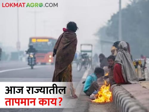 The force of the cold is fading! how was the temperature in which district of the state? | थंडीचा जोर ओसरतोय! आज राज्यात कोणत्या जिल्ह्यात कसे होते तापमान?