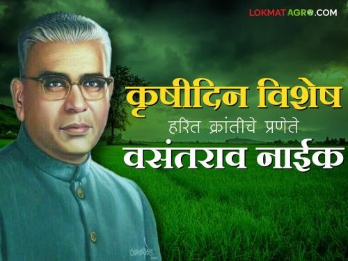 late former chief minister Vasantrao Naik Birth Anniversary farmers janta raja working and green revolution of maharashtra | Vasantrao Naik Birth Anniversary : वसंतराव नाईकांना का म्हणतात "शेतकऱ्यांचा जाणता राजा"?