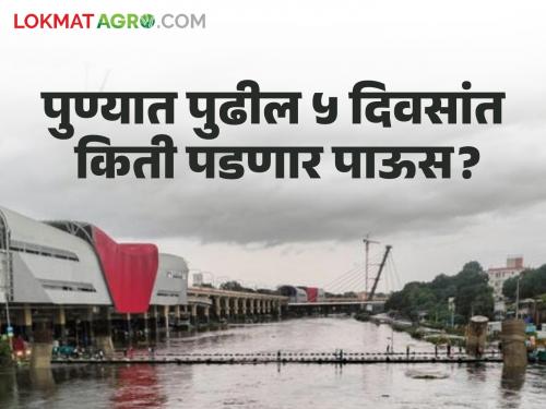 Pune Rain Updates : How much rain will fall in Pune district till July 31st? What are the warnings given by the Meteorological Department? | Pune Rain Updates : ३१ जुलैपर्यंत पुणे जिल्ह्यात किती पडणार पाऊस? हवामान विभागाने काय दिले इशारे?