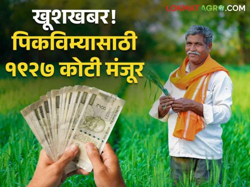 Crop Insurance1927 crores sanctioned pending insurance compensation for Kharif 2023 season | Crop Insurance : शेतकऱ्यांसाठी खूशखबर! विमा नुकसान भरपाईचे १९२७ कोटी सरकारकडून मंजूर