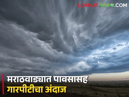 Chance of rain with thunder in Marathwada, hailstorm also forecast, see where is the alert? | मराठवाड्यात मेघगर्जनेसह पावसाची शक्यता, गारपीटीचाही अंदाज, पहा अलर्ट कुठे?