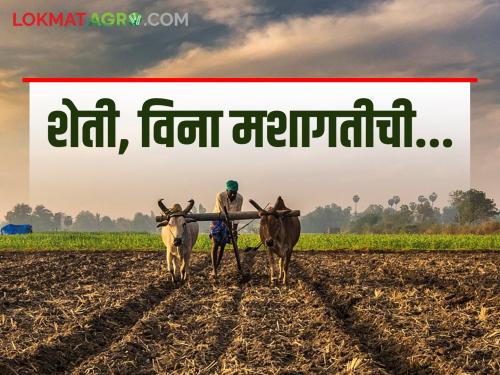 The farmers of Marathwada have got a way to increase their production by using the vinous cultivation technique of Konkan | कोकणातील विनामशागत तंत्र वापरलं, मराठवाड्यातील शेतकऱ्यांना मिळाला उत्पादनवाढीचा मार्ग