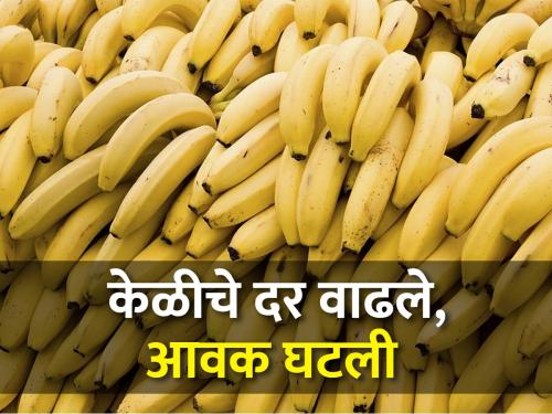 Banana prices rose, marking the first time a two-month hiatus in production | केळीचे दर वाढले, उत्पादनात दोन महिन्याचा खंड पडण्याची ही पहिलीच वेळ