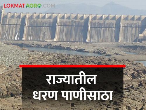 39.84% in Ujani Sunya, Jayakwadi, how much water storage in remaining dams? | उजनी शुन्यावर, जायकवाडीत ३९.८४%,उर्वरित धरणांत किती पाणीसाठा?