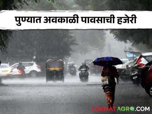 Rain Updates: Unseasonal rain in the area including Pune! Crop loss, farmers desperate | Rain Updates : पुण्यासह परिसरात अवकाळी पावसाची हजेरी! पिकांचे नुकसान, शेतकरी हतबल