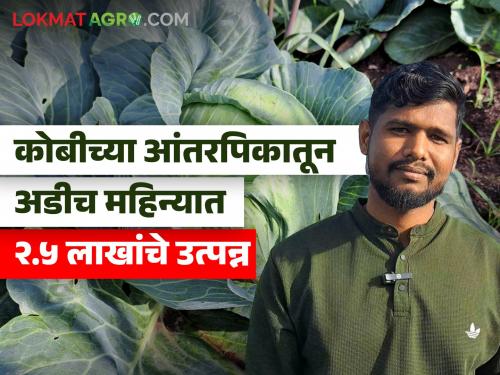 Intercropping Young Farmer Success Story experiment 2.5 lakhs income two half months cabbage intercropping | Young Farmer Success Story : तरूण शेतकऱ्याचा प्रयोग! कोबीच्या आंतरपिकातून अडीच महिन्यात २.५ लाखांचे उत्पन्न