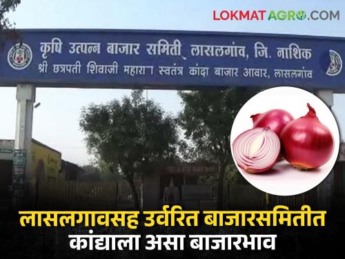 Onion Market: How was the market price in Lasalgaon Summer Onion along with the rest of the market committee? | Onion Market: लासलगावच्या उन्हाळ कांद्यासह उर्वरित बाजारसमितीत बाजारभाव कसा होता?