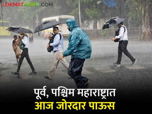 Maharashtra Rain Updates monsoon Heavy rain in Vidarbha and Konkan today! What are weather warnings? | Maharashtra Rain Updates : विदर्भ अन् कोकणात आज जोरदार पाऊस! काय आहेत हवामानाचे इशारे?