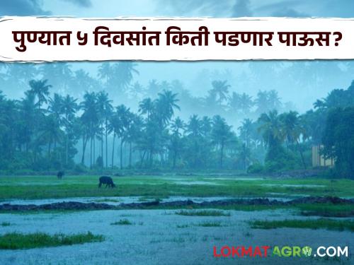 Pune Rain: How much rain will fall in Pune in the next 5 days? What are the weather department warnings? | Pune Rain : पुण्यात पुढील ५ दिवसांत किती पडेल पाऊस? काय आहेत हवामान विभागाचे इशारे?