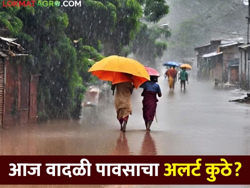 Rain Alert: Cyclonic winds active over Maharashtra, warning of stormy rain with thunder in this area today | Rain Alert: महाराष्ट्रावर चक्राकार वारे सक्रीय, आज या भागात ढगांच्या गडगडाटासह वादळी पावसाचा इशारा