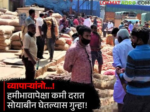 If the goods are purchased at a lower price than the guaranteed price, a case will be filed against the traders! Notice of Karad Bazaar Committee | हमीभावापेक्षा कमी दरात माल खरेदी केल्यास व्यापाऱ्यांवर होणार गुन्हा दाखल! कराड बाजार समितीचे सूचनापत्रक