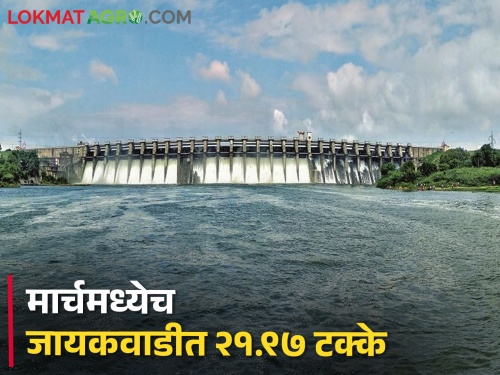 Jayakwadi Dam: Jayakwadi Dam at 21.97 percent in March itself | Jayakwadi Dam: मराठवाड्याला पाणीटंचाईची झळ, मार्चमध्येच जायकवाडी धरण २१.९७ टक्क्यांवर