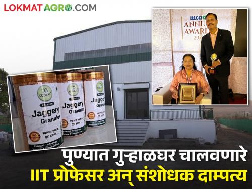 pune vishal sardeshpande and madhavi deshpande IIT professor researcher at NCL highly educated couple who run Gurhalgharjaggery factory | IIT प्रोफेसर अन् NCLमध्ये संशोधक असलेले दाम्पत्य पुण्यात चालवतंय 'महिला संचलित गुऱ्हाळघर'