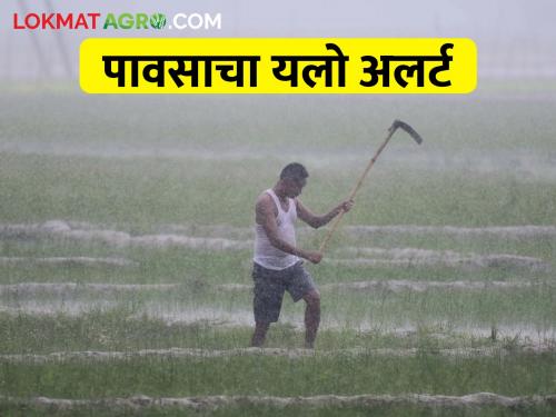 Yellow alert for Dhule, Nandurbar district today, chances of rain anywhere in the state? | धुळे, नंदूरबार जिल्ह्याला आज यलो अलर्ट, राज्यात कुठे कुठे पावसाची शक्यता?